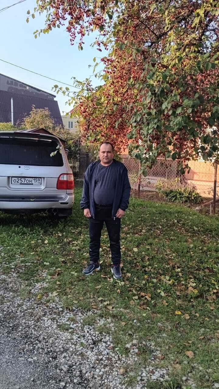  38056835  Guwanc, 44 ,     