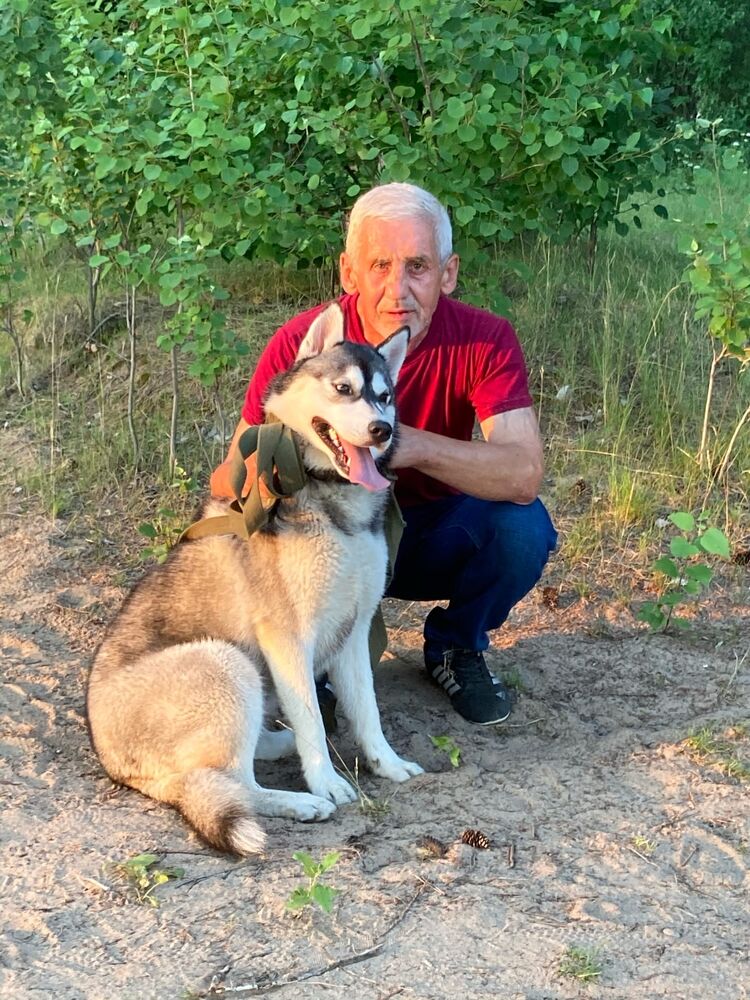  ,   Alexander, 65 ,     , c 
