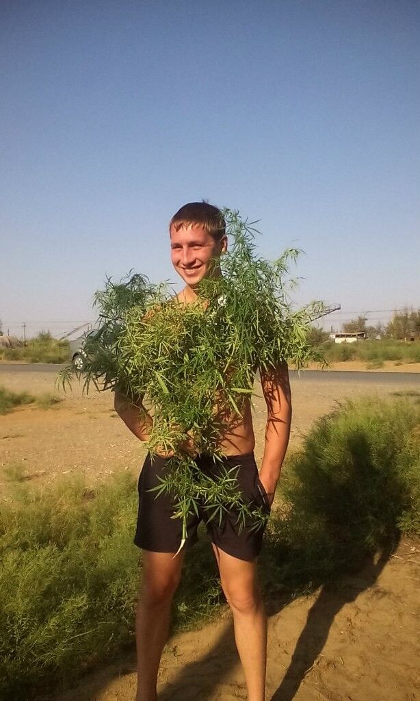 ���������� ���������, ���� ������� ����, 36 ���, ������������ ��� ������, ����� � ���������, c�������� ���������