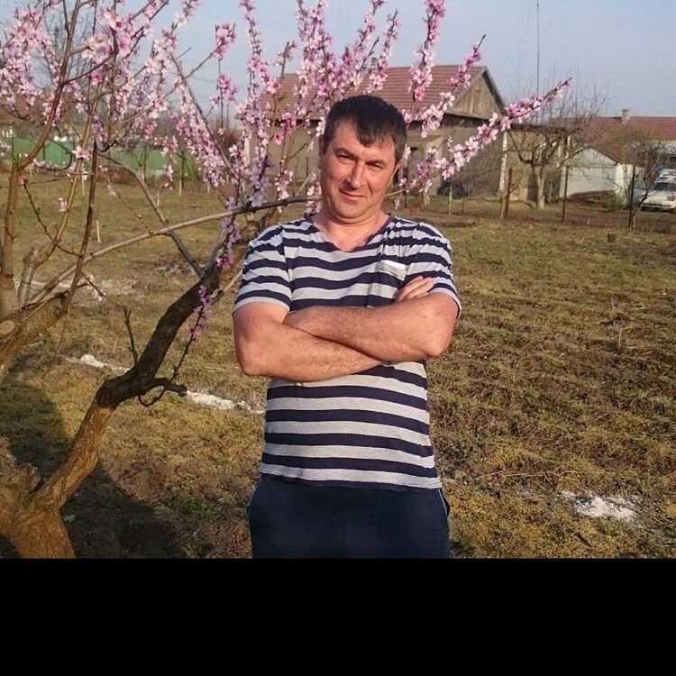  24830265  , 45 ,    