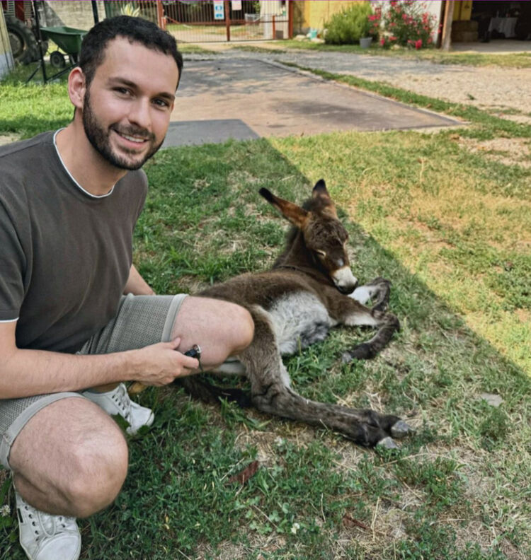 ���� 46575885 ������� �����, 37 ���, ���� ���������� � ������