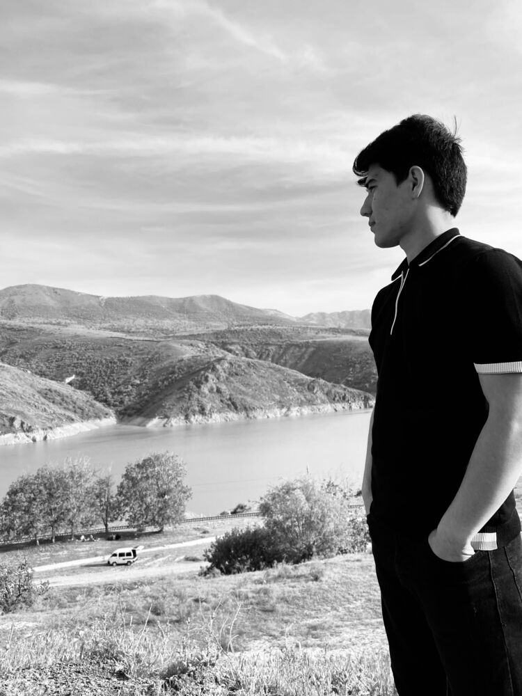 ���������� �������, ���� ������� Temur, 27 ���, ������������ ��� ������, ����� � ���������