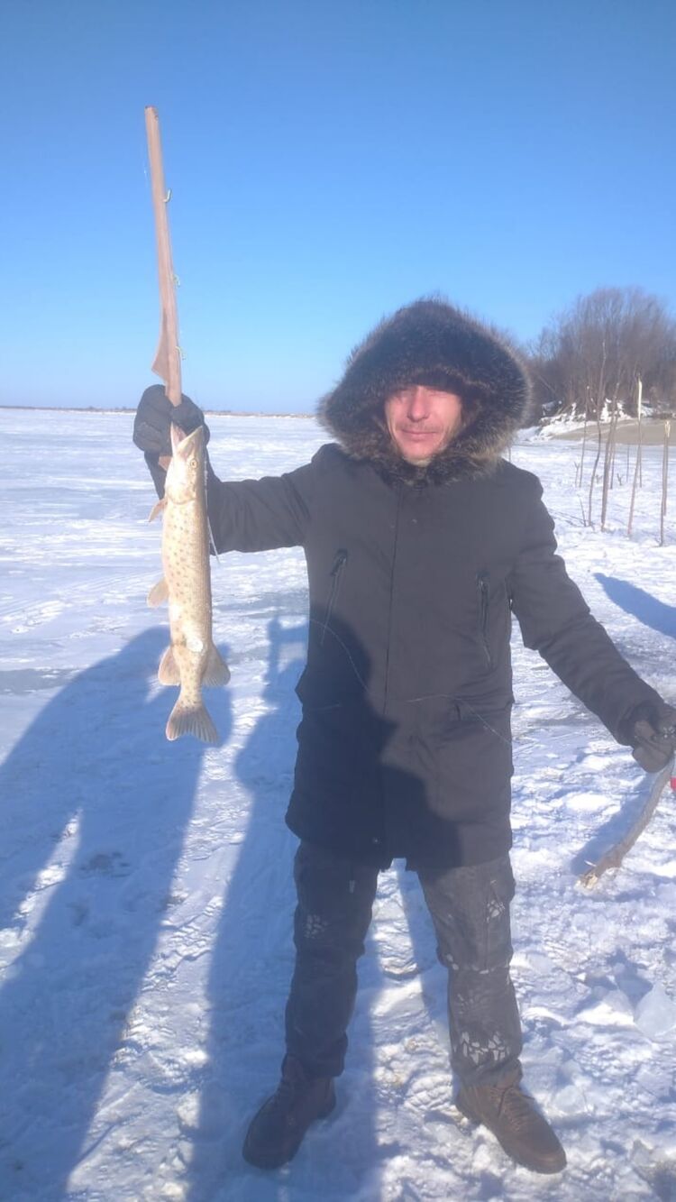 ���� 31449905 ������� ��������, 38 ���, ���� ���������� � ����������