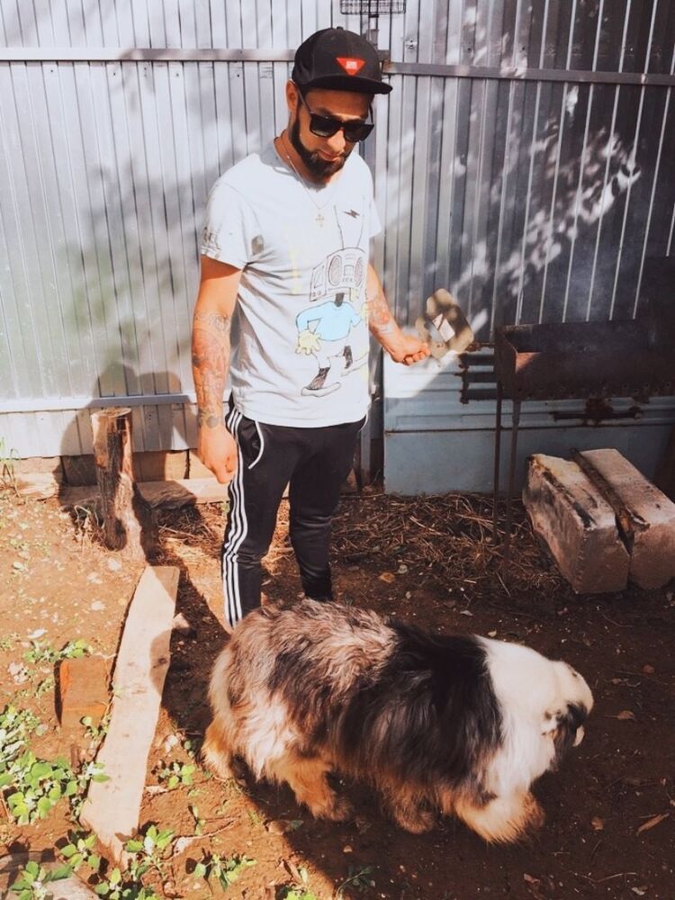 ���������� �������, ���� ������� Mishka, 34 ����, ������������ ��� ������, ����� � ���������, c�������� ���������, ���������