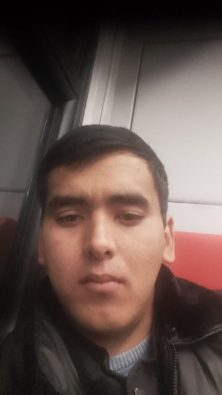  33575475  , 24 ,    