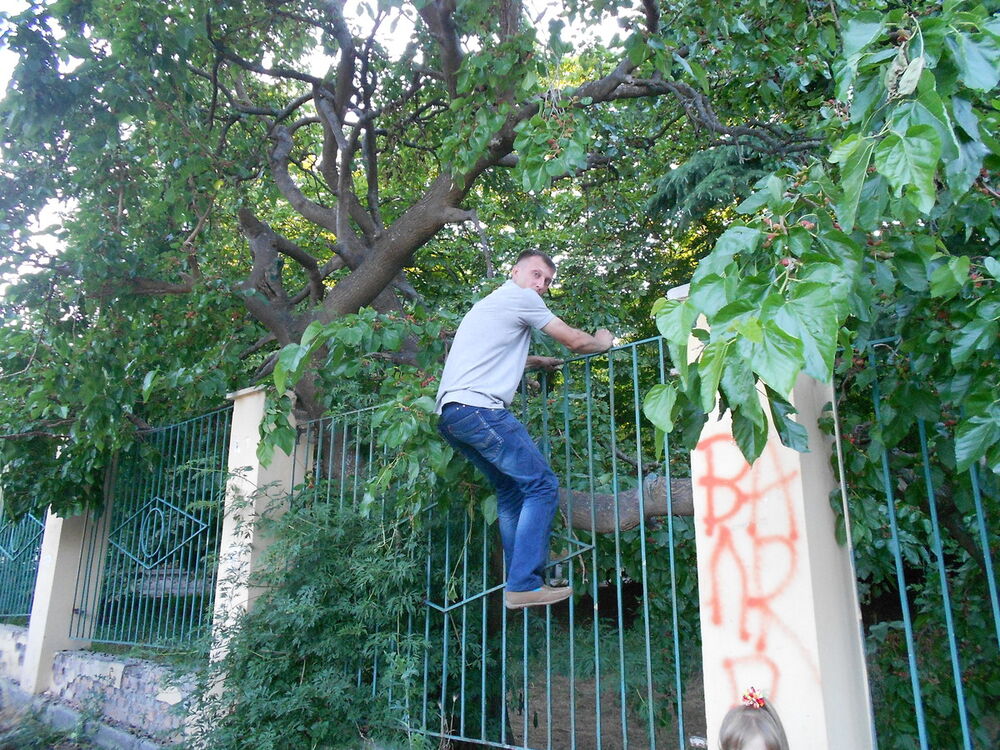  ,   , 58 ,   