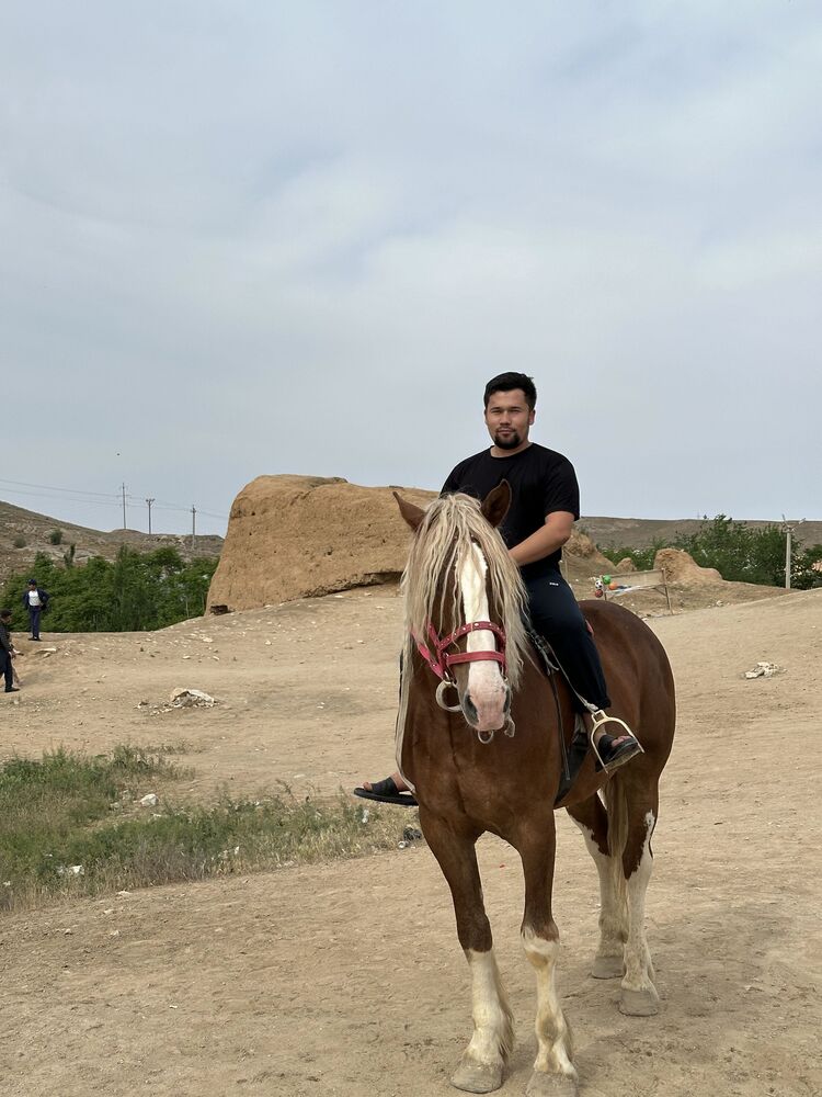 ���� 52180305 ����� ������, 23 ����, ���� ���������� � ����� �������