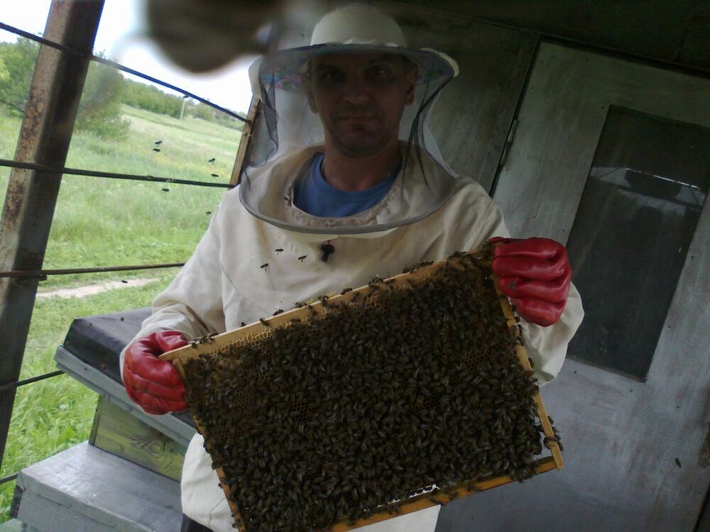 ���� 23660655 ������� ������, 49 ���, ���� ���������� � ��������