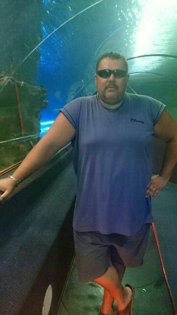  ,   , 51 ,   