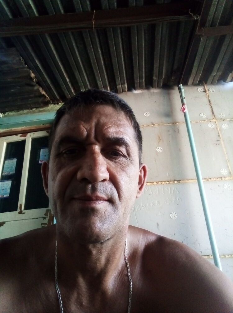  23575215  , 51 ,    