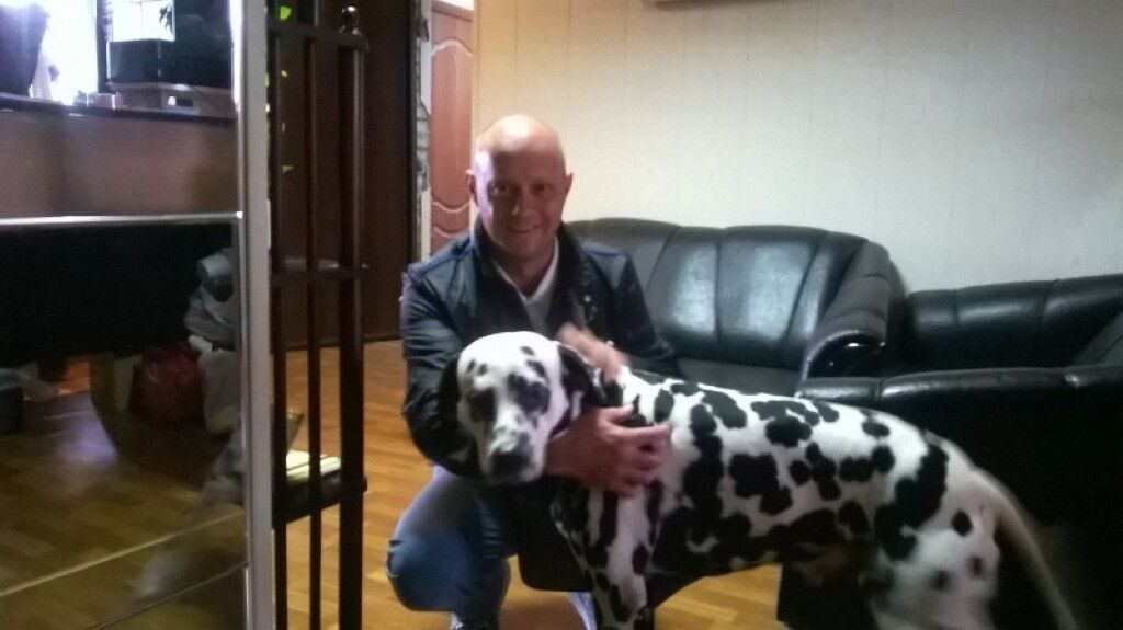 ���� 10783665 ������� �������, 46 ���, ���� ���������� � �����-����������