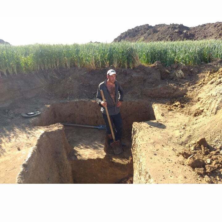 ���� 38662275 ������� �����, 41 ���, ���� ���������� � ���������