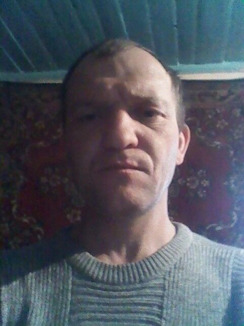 ���������� �������, ���� ������� Vasea, 49 ���, ������������ ��� ������, ����� � ���������, c�������� ���������