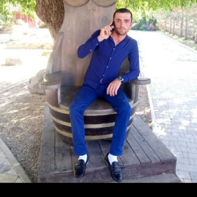  31484385  , 33 ,    Novy