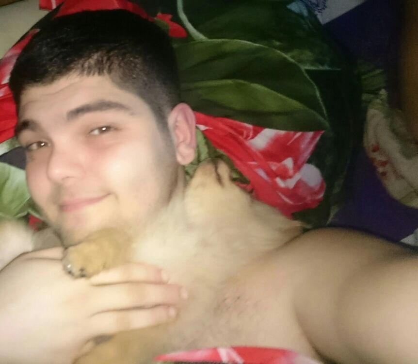 ���������� �������, ���� ������� ����, 33 ����, ������������ ��� ������, ����� � ���������, c�������� ���������, ���������