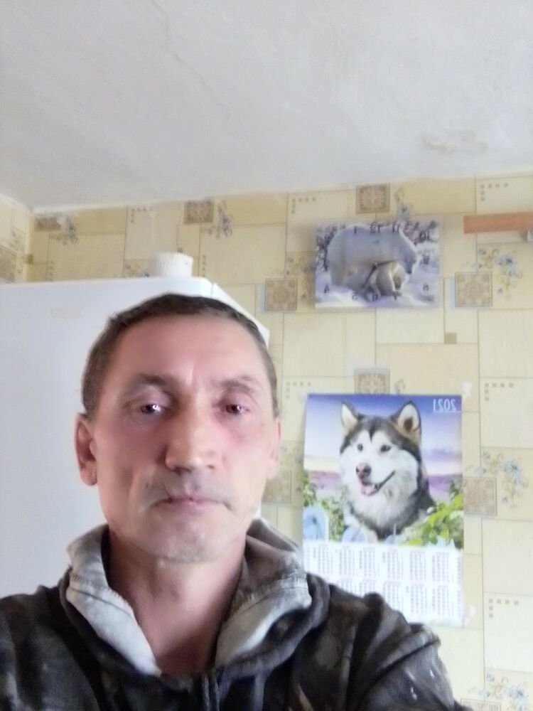  34641685  , 51 ,    