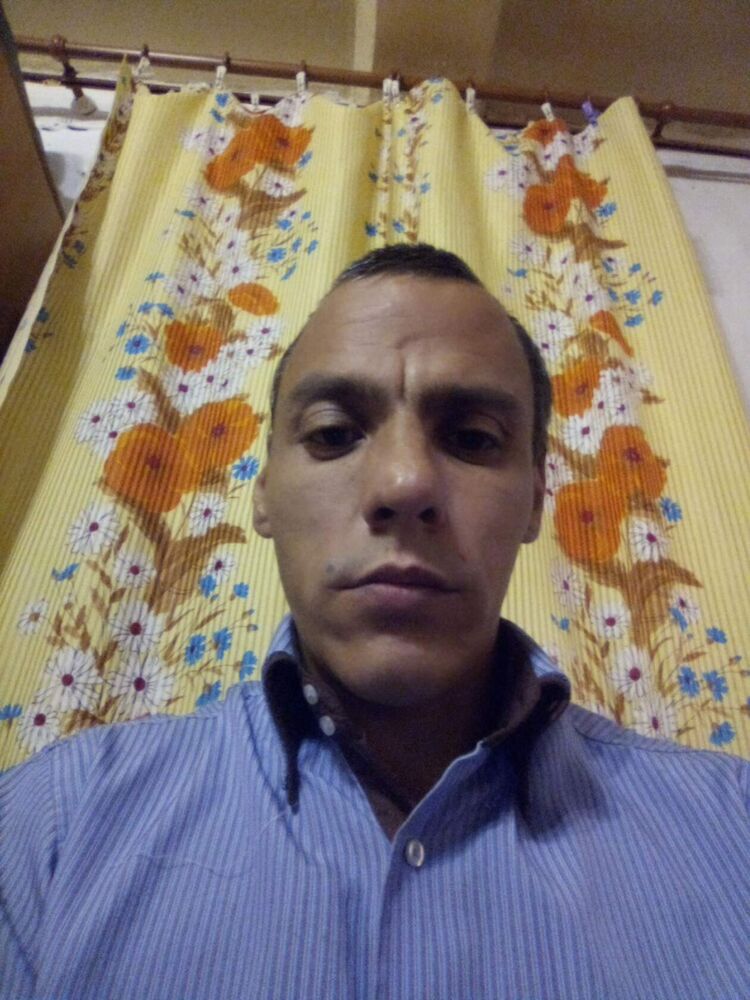  50598325  , 32 ,    