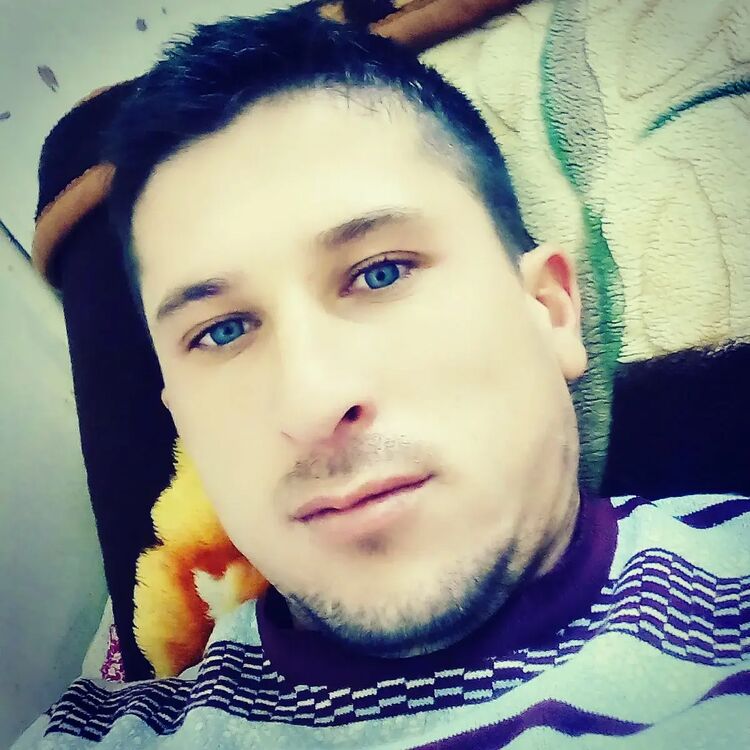  27937915  , 36 ,    