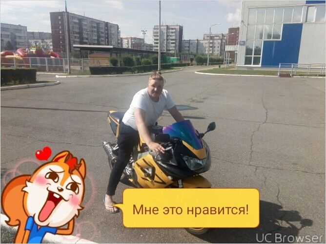  12337885  , 41 ,    