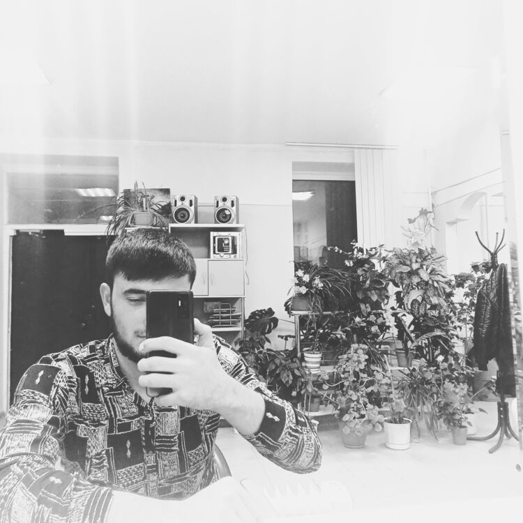  37531995  , 22 ,    -
