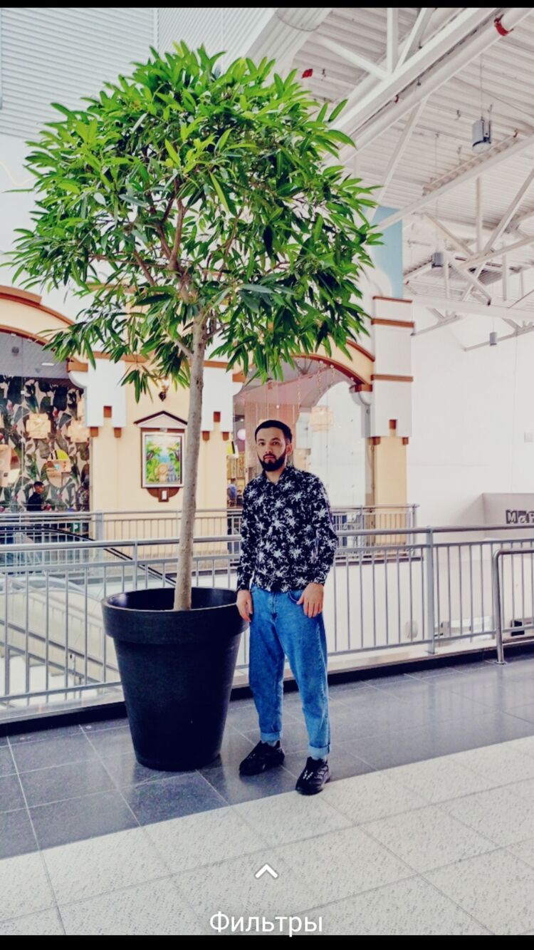 ���������� �����������, ���� ������� ����, 26 ���, ������������ ��� ������, ����� � ���������, c�������� ���������, ���������