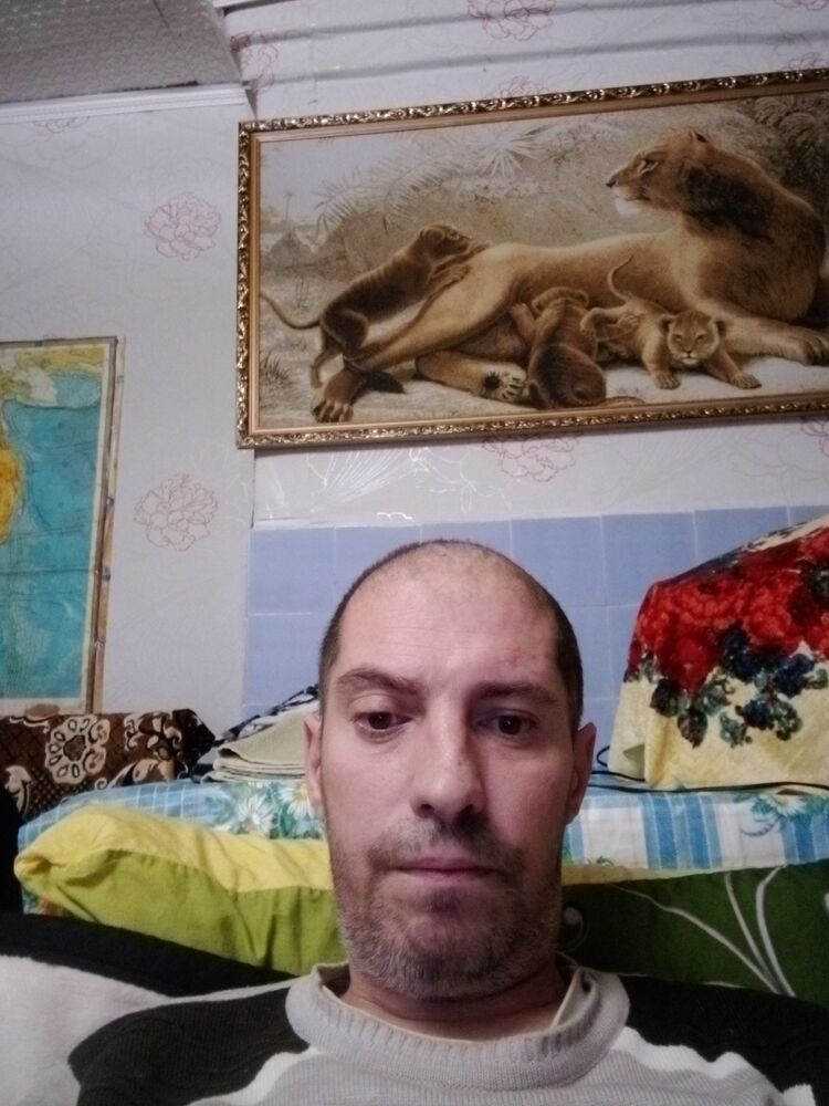  47864605  , 43 ,    