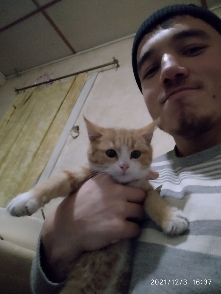 ���������� �����-���������, ���� ������� ����, 29 ���, ������������ ��� ������, ����� � ���������