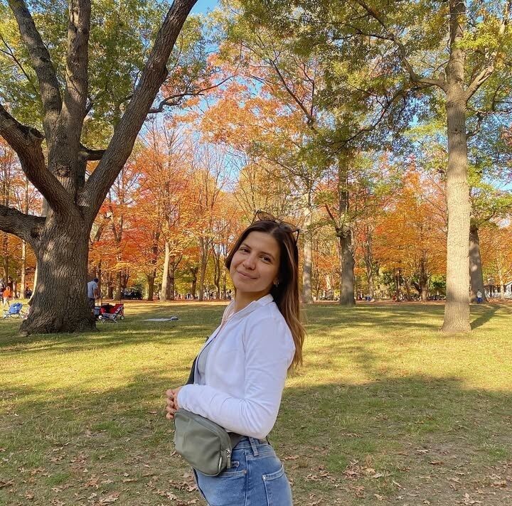  50664635  , 30 ,    -