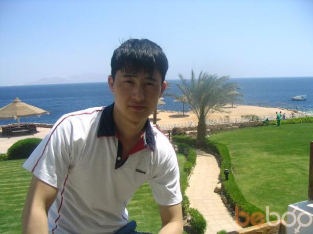  ,   LION, 41 ,   