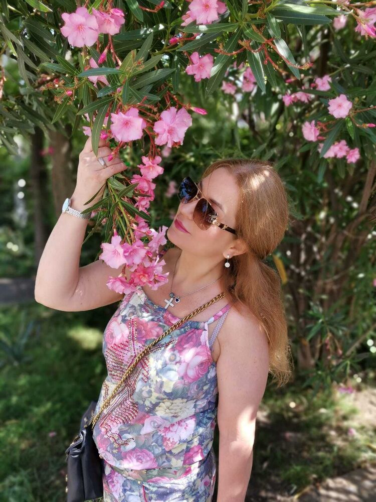 ���� 40393885 ������� ��� ��������, 50 ���, ���� ���������� � ����������