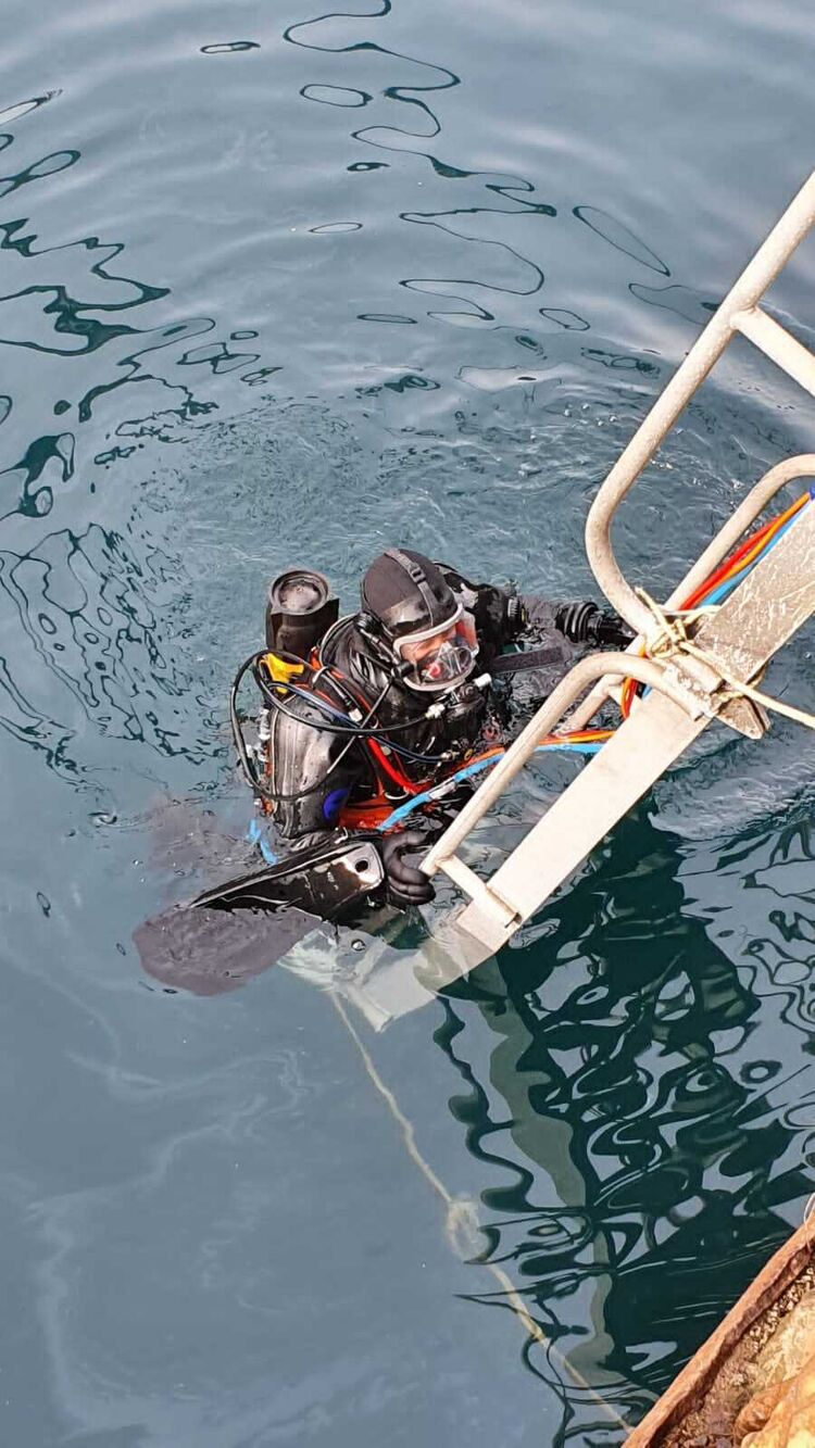 ���������� �����������, ���� ������� �����, 43 ����, ������������ ��� ������, ����� � ���������, c�������� ���������, ���������