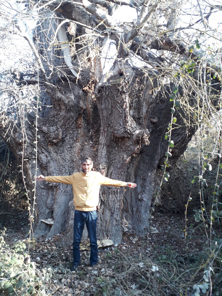  ,   Rasad, 46 ,   ,   