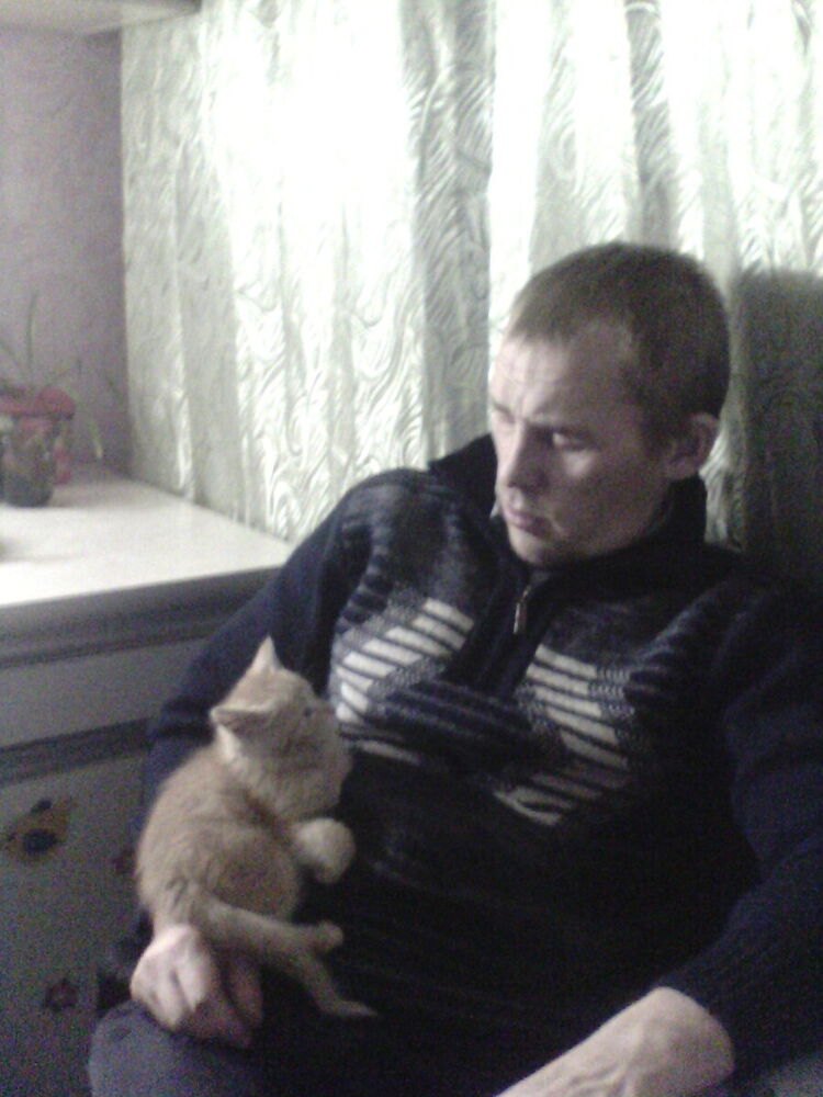 ���������� ������������, ���� ������� ����, 38 ���, ������������ ��� ������, ����� � ���������, c�������� ���������