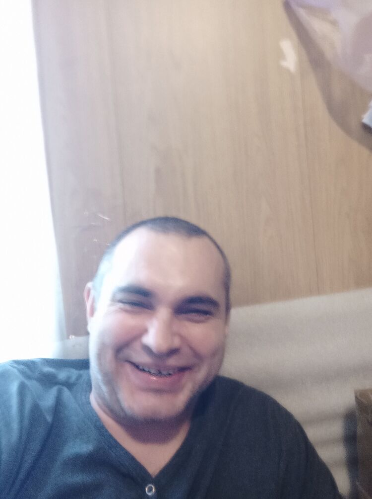 ���� 39113255 ������� ����, 44 ����, ���� ���������� � ������