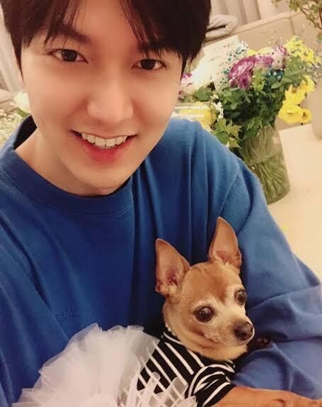 23234555  Lee Minho, 56 ,    -