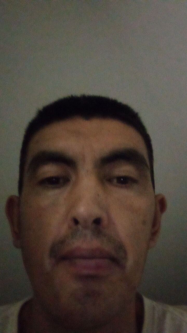 ���� 45378125 ������� �������, 40 ���, ���� ���������� � ������