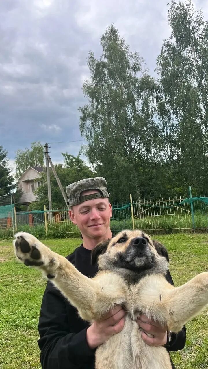 ���� 50429095 ����� ������, 21 ���, ���� ���������� � ������