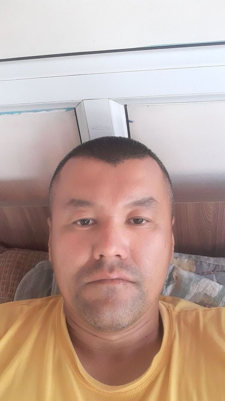  28223585  , 43 ,    