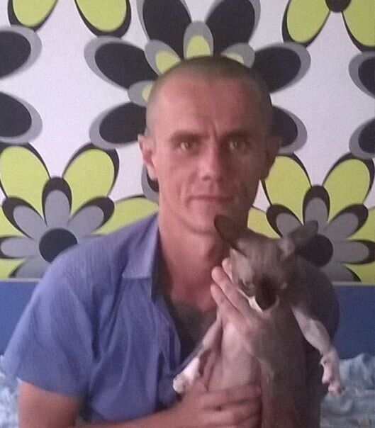  36626945  , 41 ,    