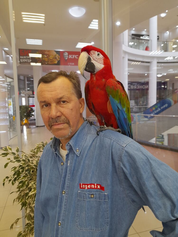  ,   , 56 ,   ,   