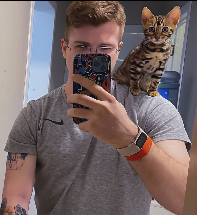 ���������� �����, ���� ������� Ludwig, 30 ���, ������������ ��� ������, ����� � ���������, c�������� ���������, ���������