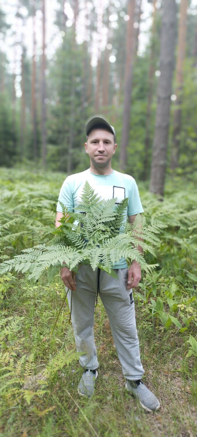  ,   , 46 ,     