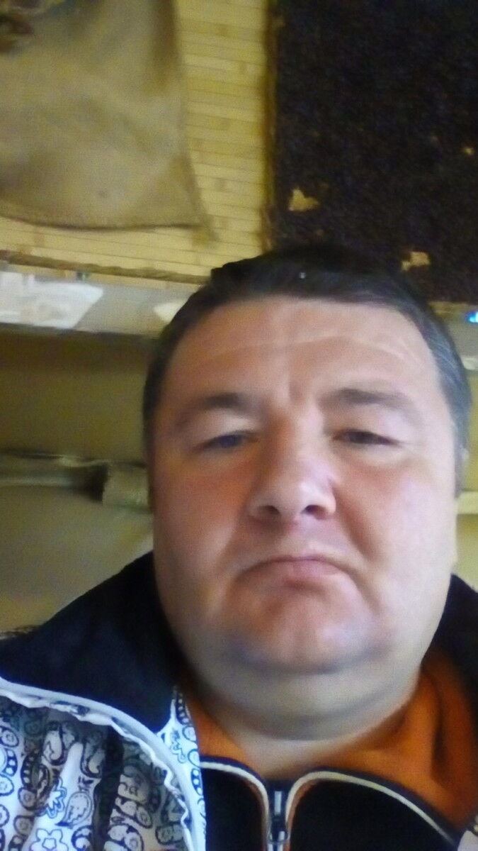  13873205  , 50 ,    