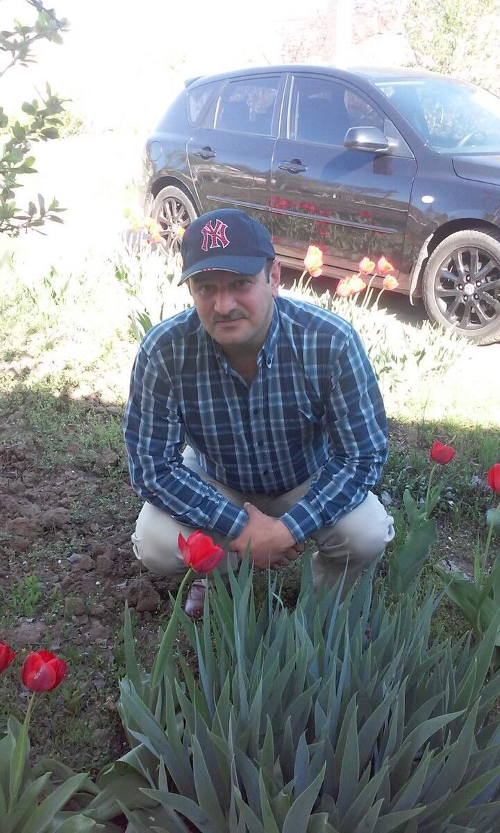 ,   , 53 ,   