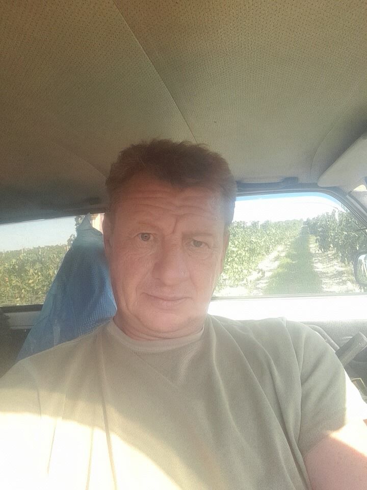  29083875  , 84 ,    