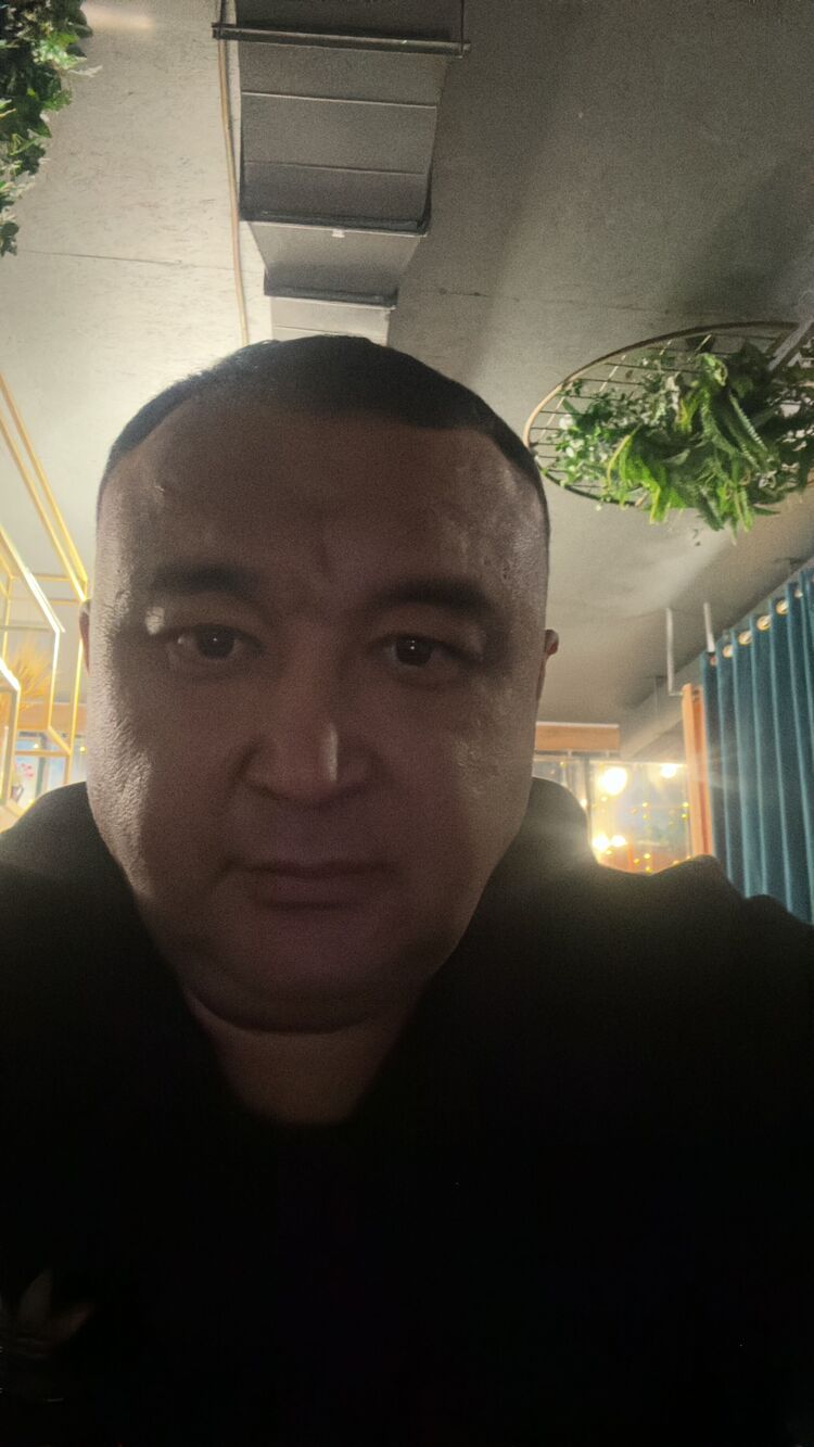  49135695  , 41 ,    