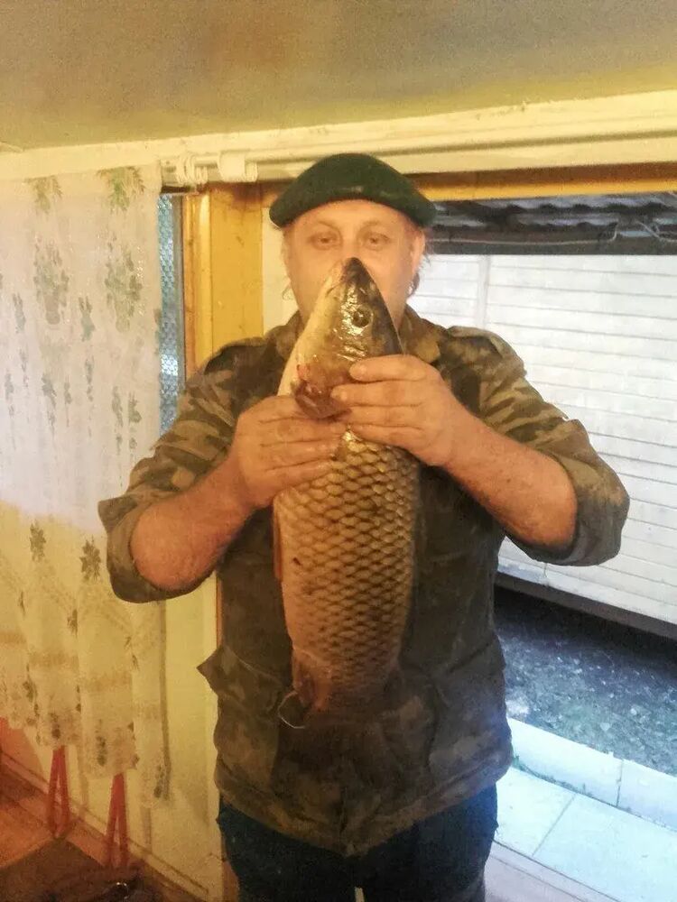 ���� 55055625 ������� �����, 56 ���, ���� ���������� � ������