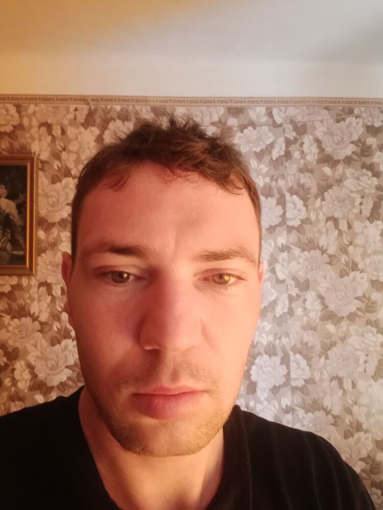  46232055  , 29 ,    