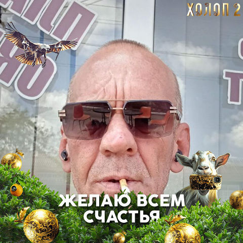  41022955  , 52 ,    