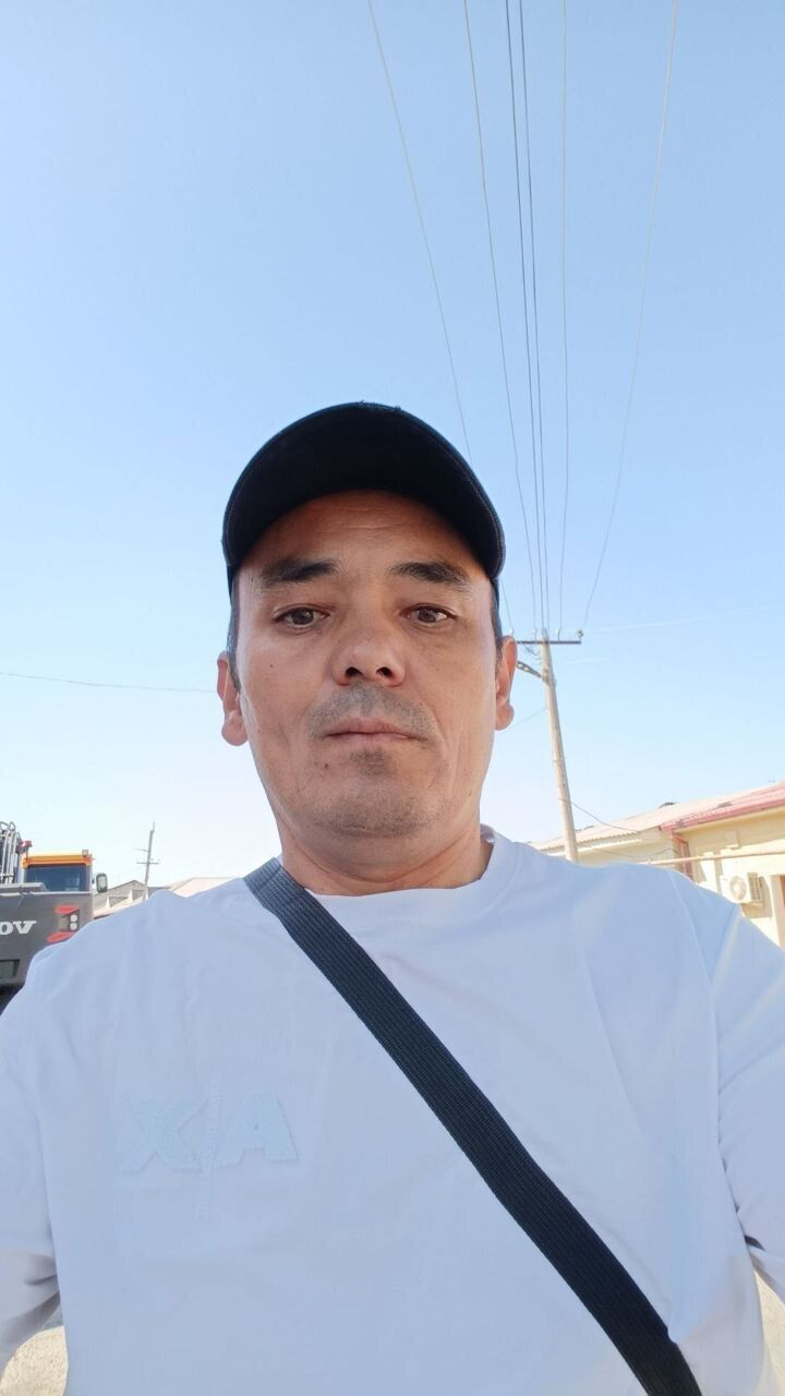  53580365  , 43 ,    